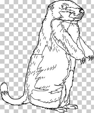 The Groundhog Groundhog Day Open PNG