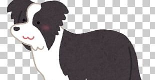 Dog Breed Border Collie Scotch Collie Poodle Australian Shepherd PNG