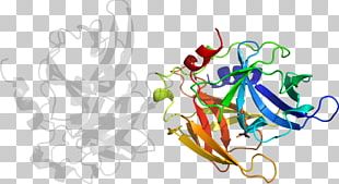 Drawing Graphic Design Art Organism PNG