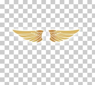 Golden Wing PNG Images, Golden Wing Clipart Free Download