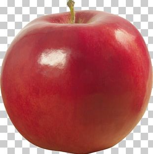 Apple Food Accessory Fruit Png, Clipart, Accessory Fruit, Animaatio 