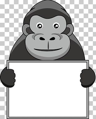 Gorilla Photography PNG