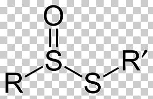 Lewis Structure Sulfur Trioxide Selenium Trioxide Sulfite ...