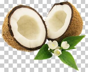 Coconut Milk Euclidean PNG, Clipart, Bowl, Coconut, Coconut Leaves ...
