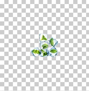 Mint Leaf Ice Cubes PNG Transparent Images Free Download