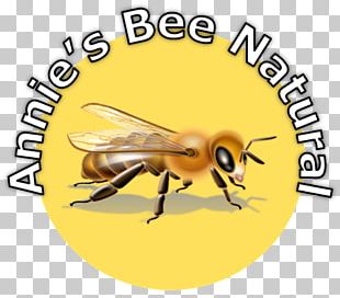 Honey Bee Miss Nelson Is Missing! TeachersPayTeachers Education PNG ...