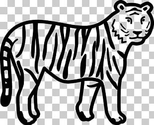 Bengal Tiger White Tiger Black And White Black Tiger PNG