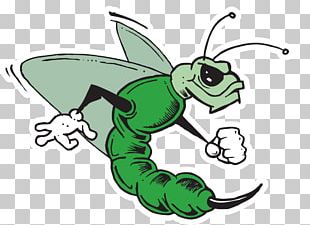 Green Hornet Kato Insect Comics PNG