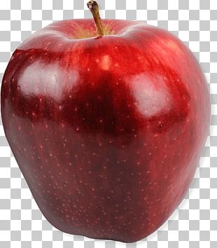 Apple Fruit Natural Foods Red Plant PNG, Clipart, Accessory Fruit ...