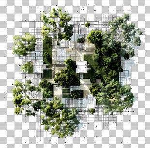 Architecture Tree Plan - Green Architectural Innovation Concept PNG