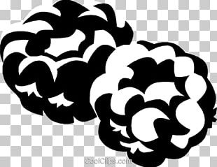 White PNG