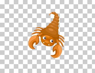Scorpion Scorpius PNG