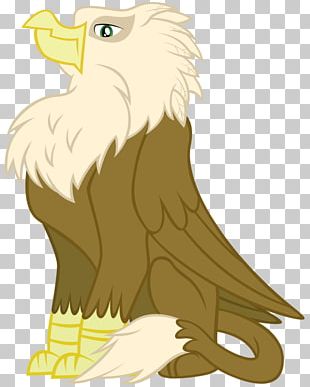 Bird Griffin Art Pony PNG