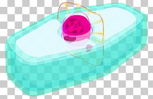 Plastic PNG