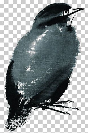 Bird Ink Wash Painting Watercolor Painting PNG