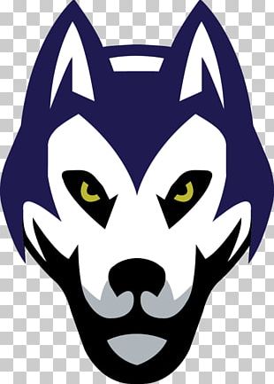 St. Cloud State University St. Cloud State Huskies Men's Ice Hockey Team St. Cloud State Huskies Men's Basketball Minnesota State University PNG