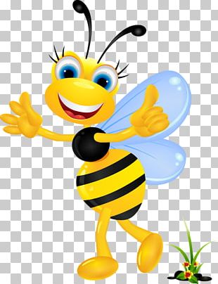European Dark Bee Insect Honey Bee PNG