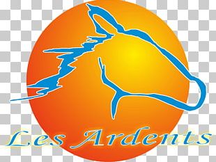 On Horsemanship Pony Equestrian Les Ardents PNG