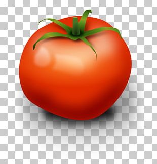 Cherry Tomato Fruit PNG