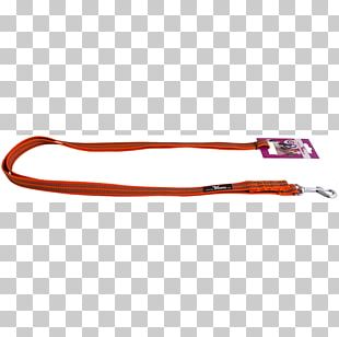 Leash Kilowatt Centimeter Dog Carabiner PNG