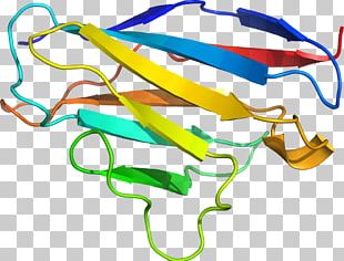 Clothing Accessories Fashion PNG
