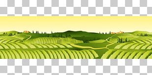 Field Agriculture Farm Agricultural Land PNG