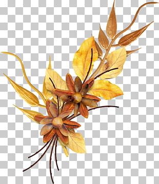 Autumn PNG