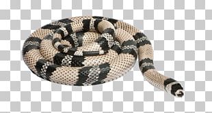 Honduran Milk Snake Reptile Sinaloan Milk Snake Stock Photography PNG