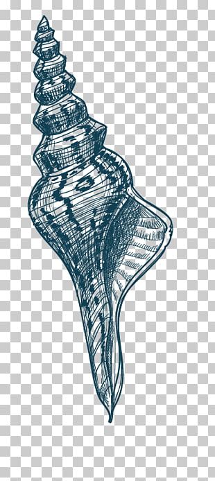 Spiral Black And White Motif Euclidean PNG