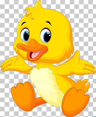 Donald Duck Minnie Mouse Baby Ducks PNG, Clipart, Anatidae, Animal ...