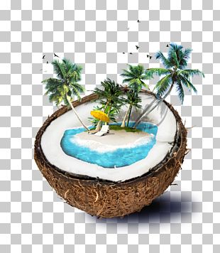 Coconut Water Travel PNG