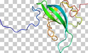 Leaf Line Art Point PNG