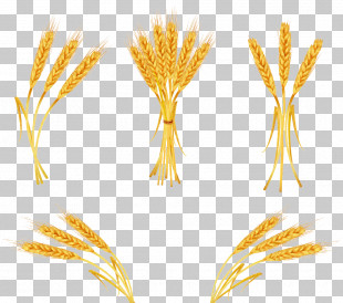 single wheat stalk clipart