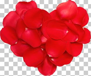 Valentine's Day Rose Propose Day SMS PNG, Clipart, Branch, Bud, Cut ...