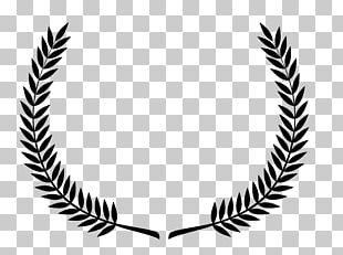 Laurel Wreath Bay Laurel Leaf Olive Wreath PNG, Clipart, Art, Artwork ...