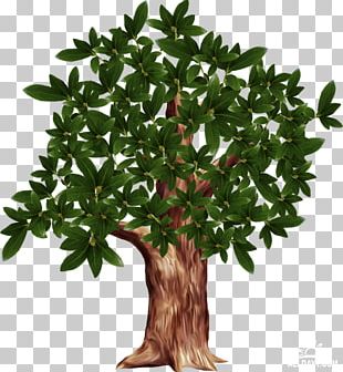 Tree Branch PNG, Clipart, Branch, Clip Art, Download, Encapsulated