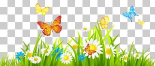 Butterfly Garden Lawn PNG, Clipart, Background Green, Butterflies And ...