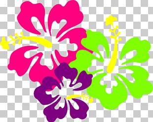 Hawaiian Hibiscus Drawing PNG, Clipart, Aloha, Artwork, Cut Flowers ...