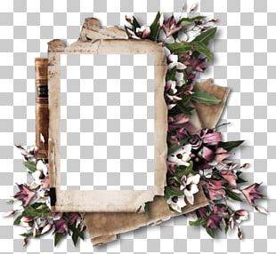 Instant Camera Frames Portable Network Graphics Photograph PNG, Clipart ...