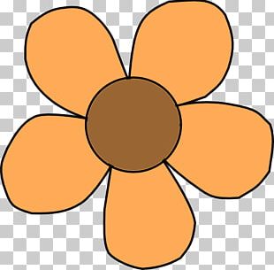 Flower PNG