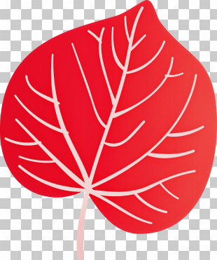 Autumn Leaf Colourful Foliage Colorful Leaves PNG