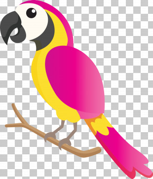 Parrots Birds Beak Hornbill Toucans PNG