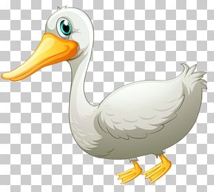 pato png images pato clipart free download pato png images pato clipart free download