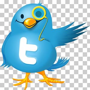 Computer Icons Social Media Twitter PNG