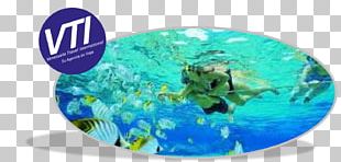 Tulamben Sharm El Sheikh Snorkeling Scuba Diving USAT Liberty PNG