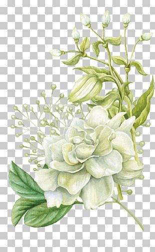 Watercolor Painting Watercolor: Flowers Rose Watercolour Flowers PNG ...