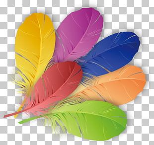 The Floating Feather Color PNG