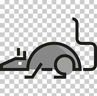 Mouse Rat Rodent Computer Icons Pet PNG