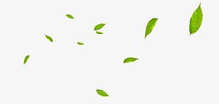 Floating Leaves PNG, Clipart, Floating, Floating Clipart, Floating ...