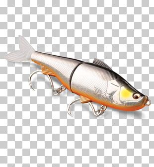 Spoon Lure Fishing Baits & Lures Northern Pike Spinnerbait Plug PNG,  Clipart, Bait, Bass Worms, Canadian, Crush, Fish Free PNG Download